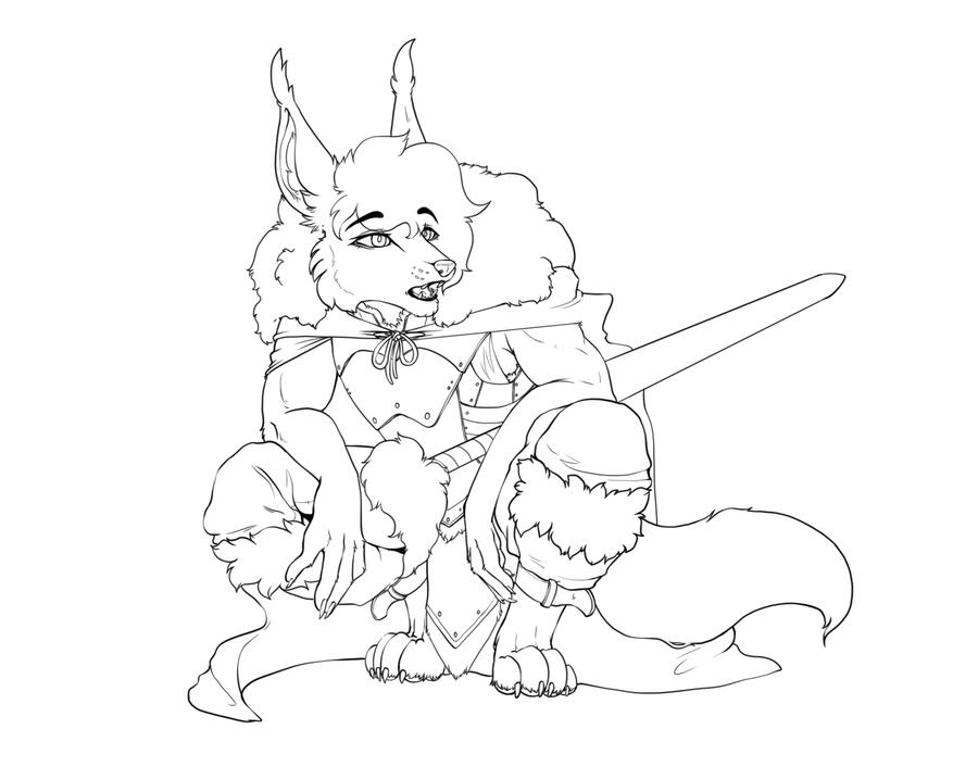 Sketch
